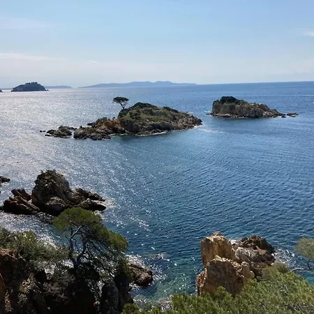 Atelierchic Oda ve Kahvaltı *